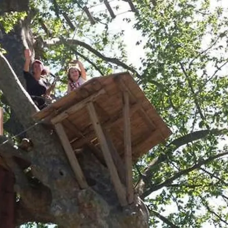 Maison Chene Liege *