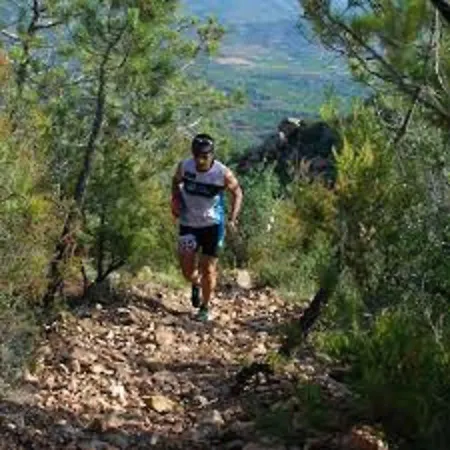 Maison Chene Liege Maureillas