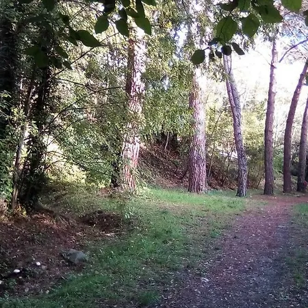 Maison Chene Liege Apartment