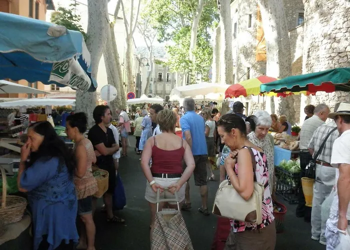 Maison Chene Liege Апартаменты Maureillas