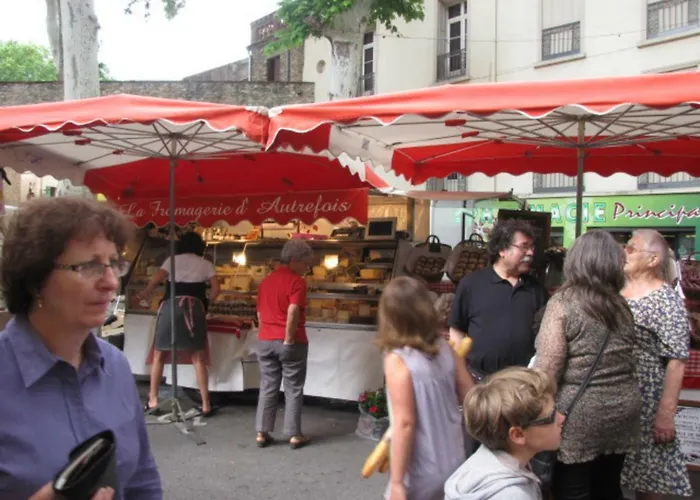 Maison Chêne Liège *