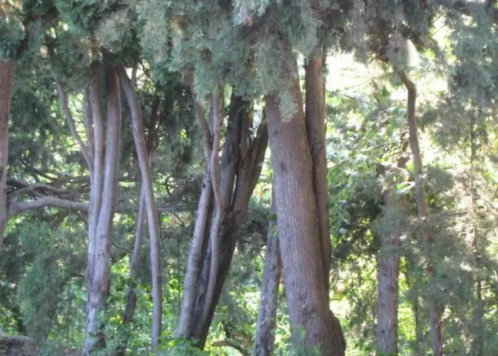 Апартаменты Maison Chene Liege