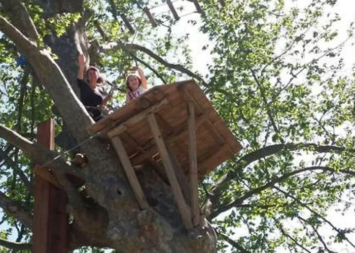 Maison Chene Liege *