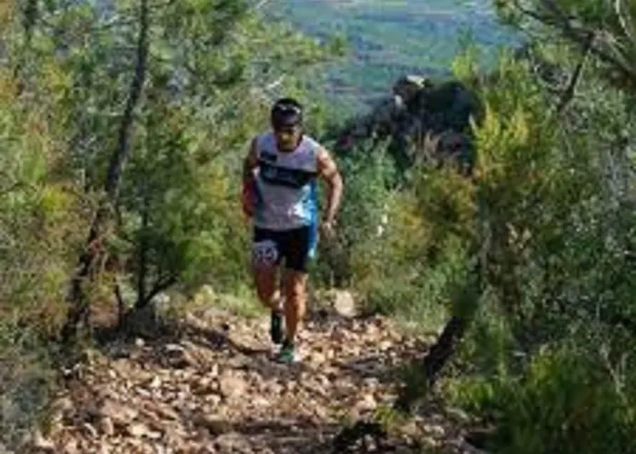 Maison Chene Liege Maureillas